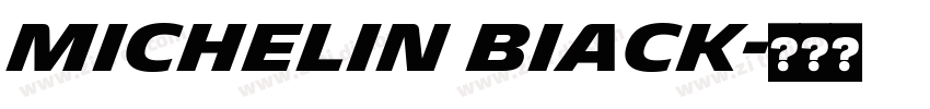 Michelin BIack字体转换